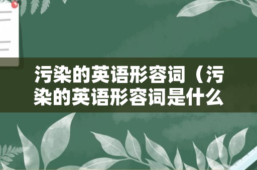 污染的英语形容词（污染的英语形容词是什么）