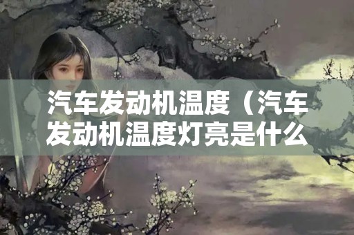 汽车发动机温度（汽车发动机温度灯亮是什么情况）