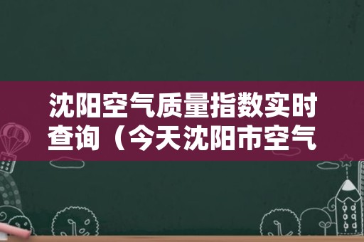 沈阳空气质量指数实时查询（今天沈阳市空气质量指数）