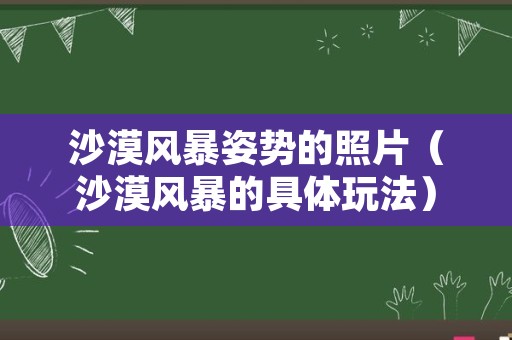 沙漠风暴姿势的照片（沙漠风暴的具体玩法）