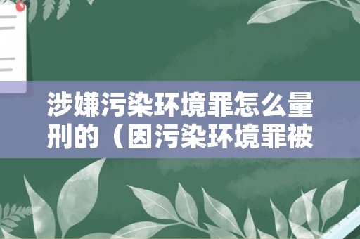 涉嫌污染环境罪怎么量刑的（因污染环境罪被刑事拘留多少天）