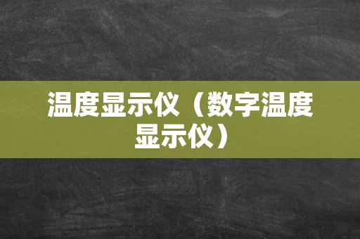 温度显示仪（数字温度显示仪）