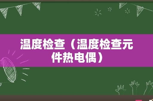 温度检查（温度检查元件热电偶）