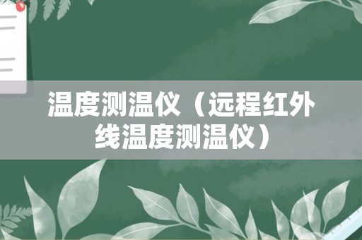 温度测温仪（远程红外线温度测温仪）