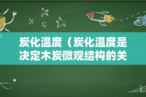 炭化温度（炭化温度是决定木炭微观结构的关键因素）