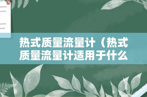 热式质量流量计（热式质量流量计适用于什么场合）