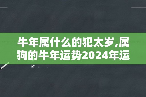 牛年属什么的犯太岁,属狗的牛年运势2024年运势