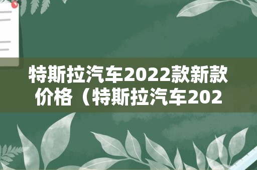 特斯拉汽车2022款新款价格（特斯拉汽车2021款最新款价格）