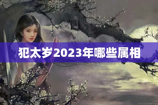 犯太岁2023年哪些属相