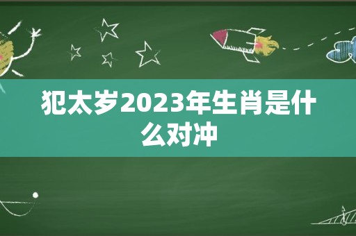 犯太岁2023年生肖是什么对冲