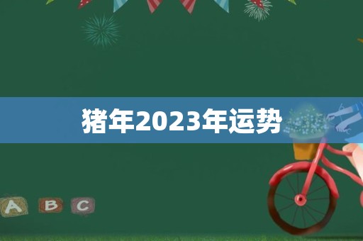 猪年2023年运势