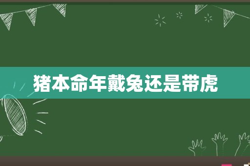 猪本命年戴兔还是带虎