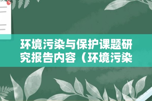 环境污染与保护课题研究报告内容（环境污染与保护课题研究报告内容怎么写）