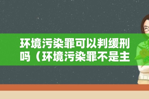 环境污染罪可以判缓刑吗（环境污染罪不是主犯能判缓吗）