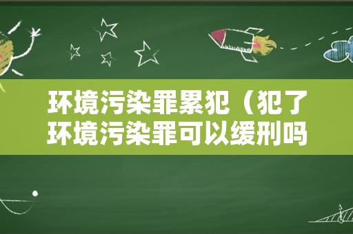 环境污染罪累犯（犯了环境污染罪可以缓刑吗）