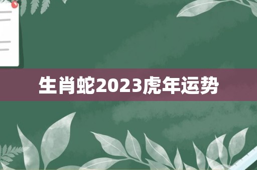 生肖蛇2023虎年运势