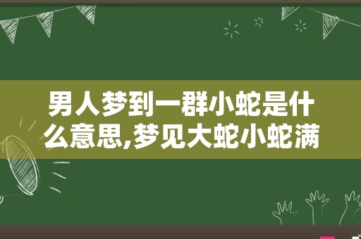 男人梦到一群小蛇是什么意思,梦见大蛇小蛇满地爬