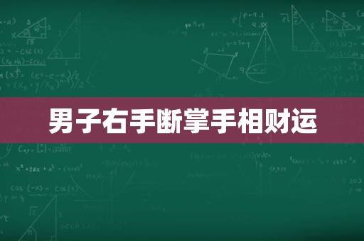 男子右手断掌手相财运