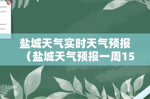 盐城天气实时天气预报（盐城天气预报一周15天天气预报）