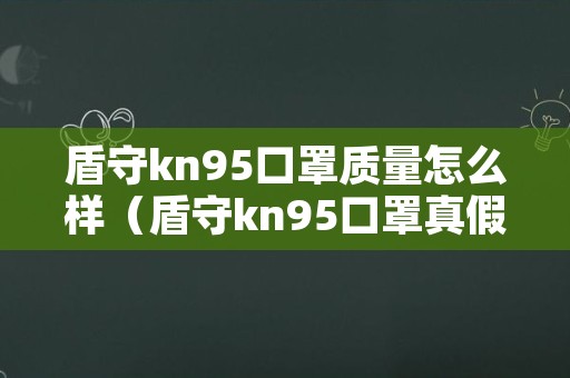 盾守kn95口罩质量怎么样（盾守kn95口罩真假）