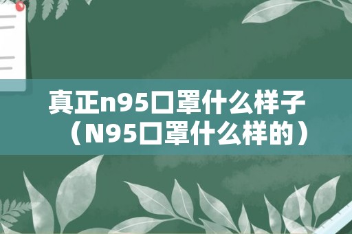 真正n95口罩什么样子（N95口罩什么样的）