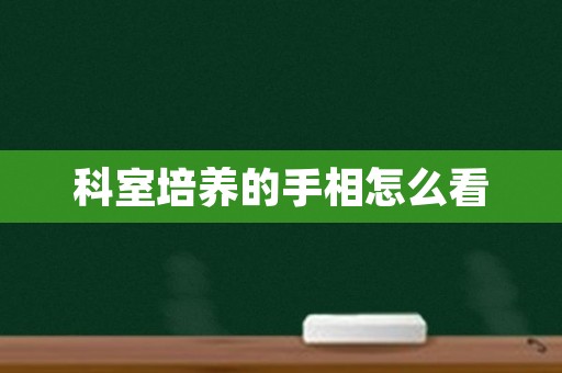 科室培养的手相怎么看