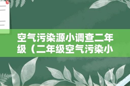 空气污染源小调查二年级（二年级空气污染小调查污染源）