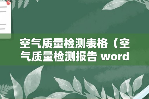 空气质量检测表格（空气质量检测报告 word文档）