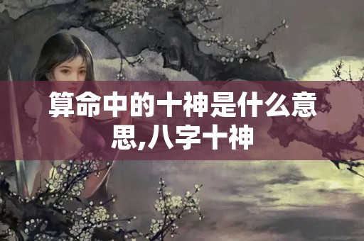 算命中的十神是什么意思,八字十神