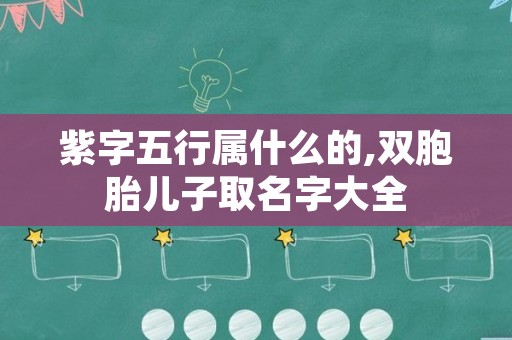 紫字五行属什么的,双胞胎儿子取名字大全