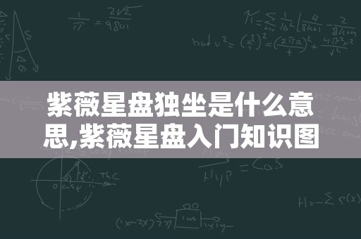 紫薇星盘独坐是什么意思,紫薇星盘入门知识图解