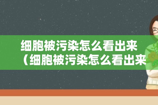 细胞被污染怎么看出来（细胞被污染怎么看出来的）