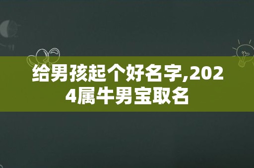 给男孩起个好名字,2024属牛男宝取名