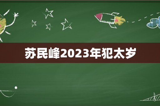 苏民峰2023年犯太岁