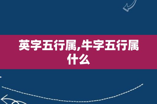 英字五行属,牛字五行属什么