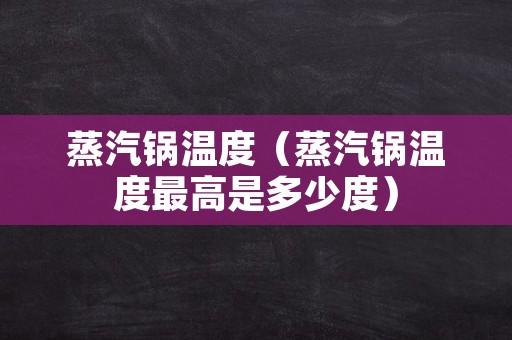 蒸汽锅温度（蒸汽锅温度最高是多少度）