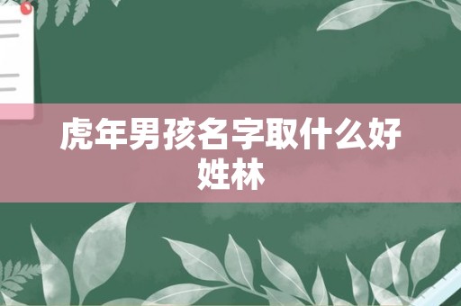 虎年男孩名字取什么好姓林