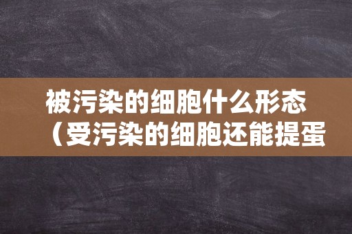 被污染的细胞什么形态（受污染的细胞还能提蛋白吗）