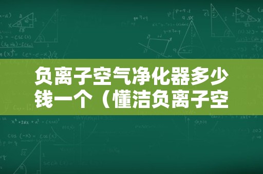 负离子空气净化器多少钱一个（懂洁负离子空气净化器价格是多少元?）