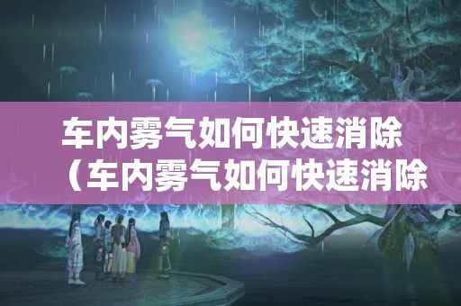 车内雾气如何快速消除（车内雾气如何快速消除按钮）