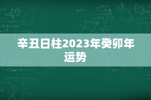 辛丑日柱2023年癸卯年运势