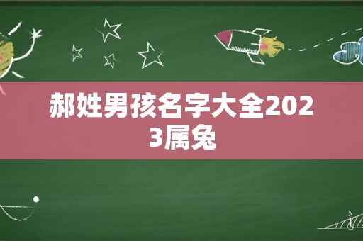 郝姓男孩名字大全2023属兔