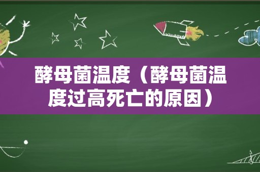 酵母菌温度（酵母菌温度过高死亡的原因）