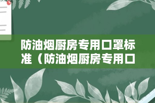 防油烟厨房专用口罩标准（防油烟厨房专用口罩标准规范）