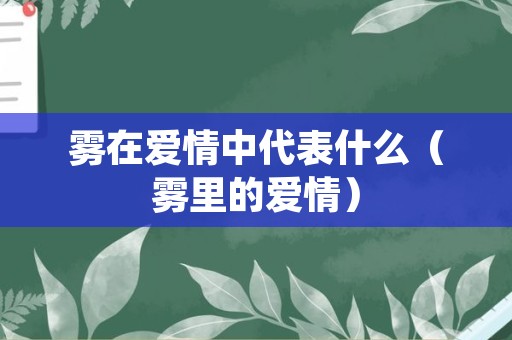 雾在爱情中代表什么（雾里的爱情）