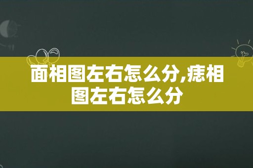 面相图左右怎么分,痣相图左右怎么分