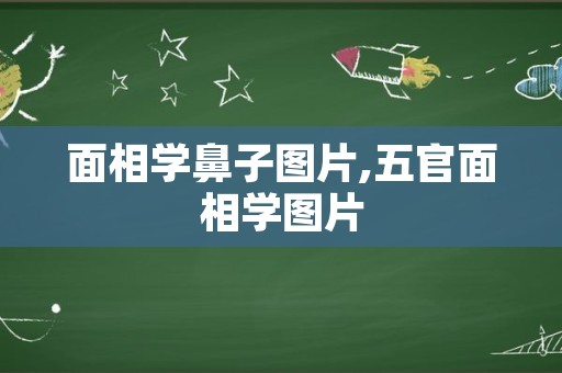 面相学鼻子图片,五官面相学图片