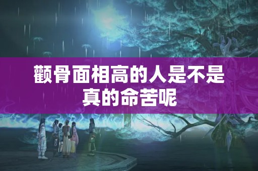 颧骨面相高的人是不是真的命苦呢