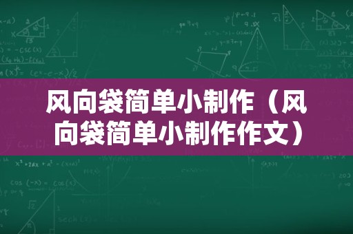 风向袋简单小制作（风向袋简单小制作作文）