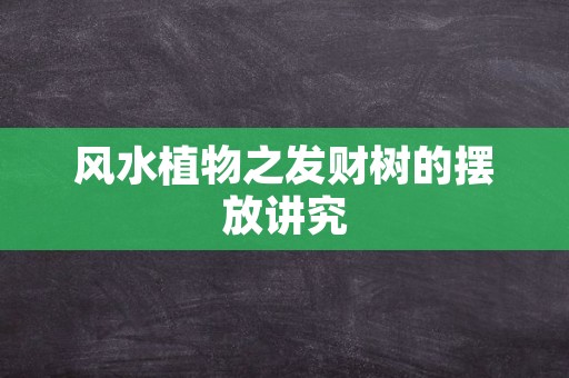 风水植物之发财树的摆放讲究